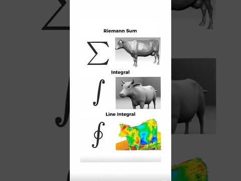 Riemann Sum, integral