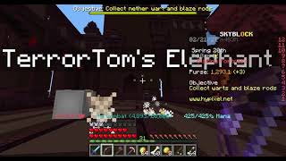 When you have aimbot in Hypixel Skyblocks