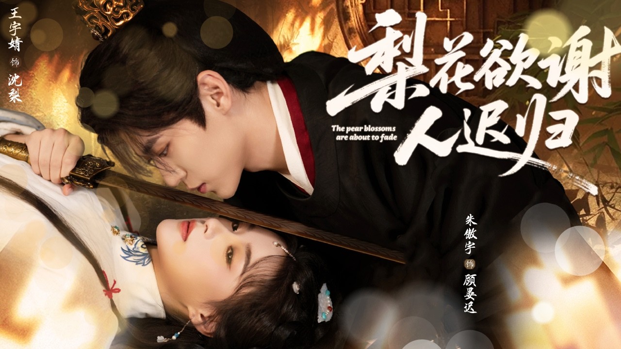 新婚夜灭门惨案：她竟是幕后棋子？