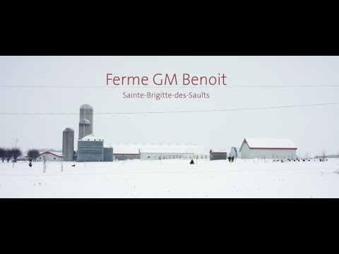 Prix transfert de ferme La Coop : Ferme GM Benoit
