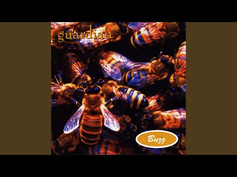 Putar State of Mine - Guardian