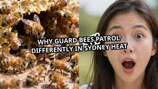 Why Guard Bees Patrol Differently in Sydney Heat