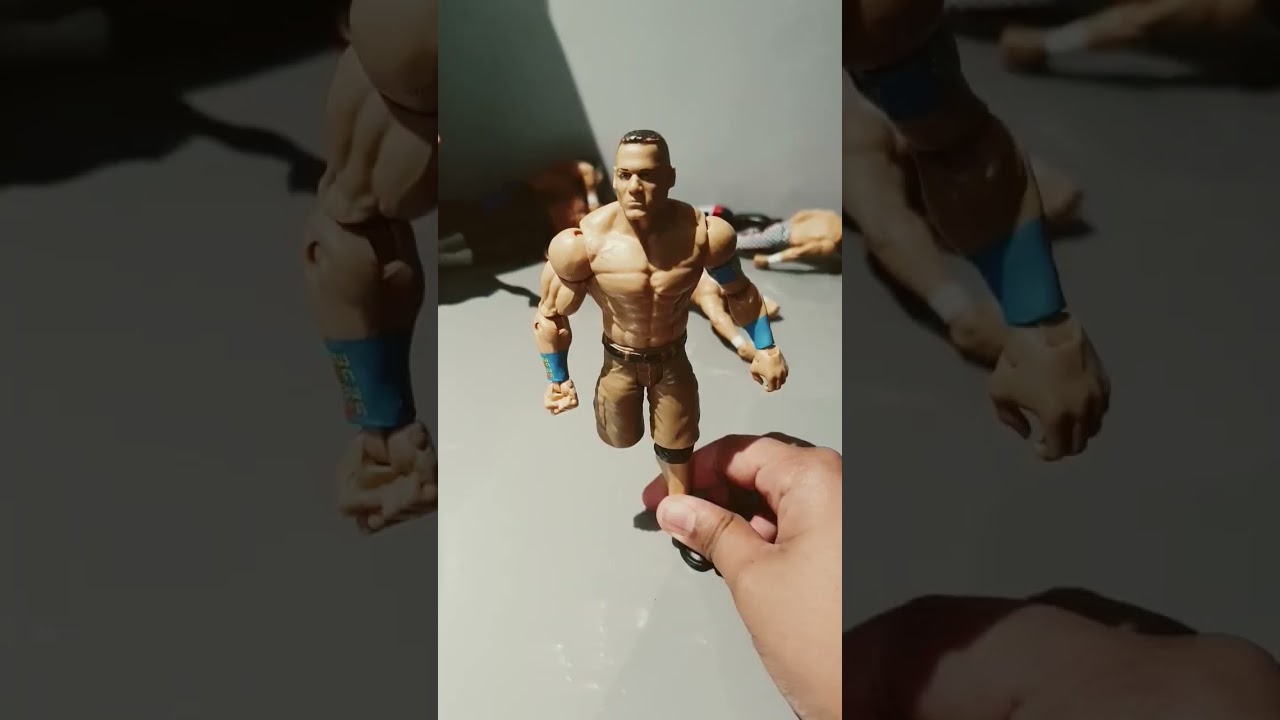 Show Your  WWE Action Figures 