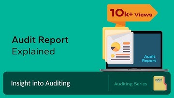 What is an Auditor