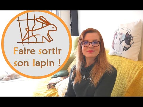 Vidéo: Avantages De L'enclos Pour Lapins