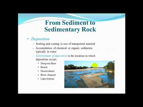 Luctuer 5 Sedimentary Rocks