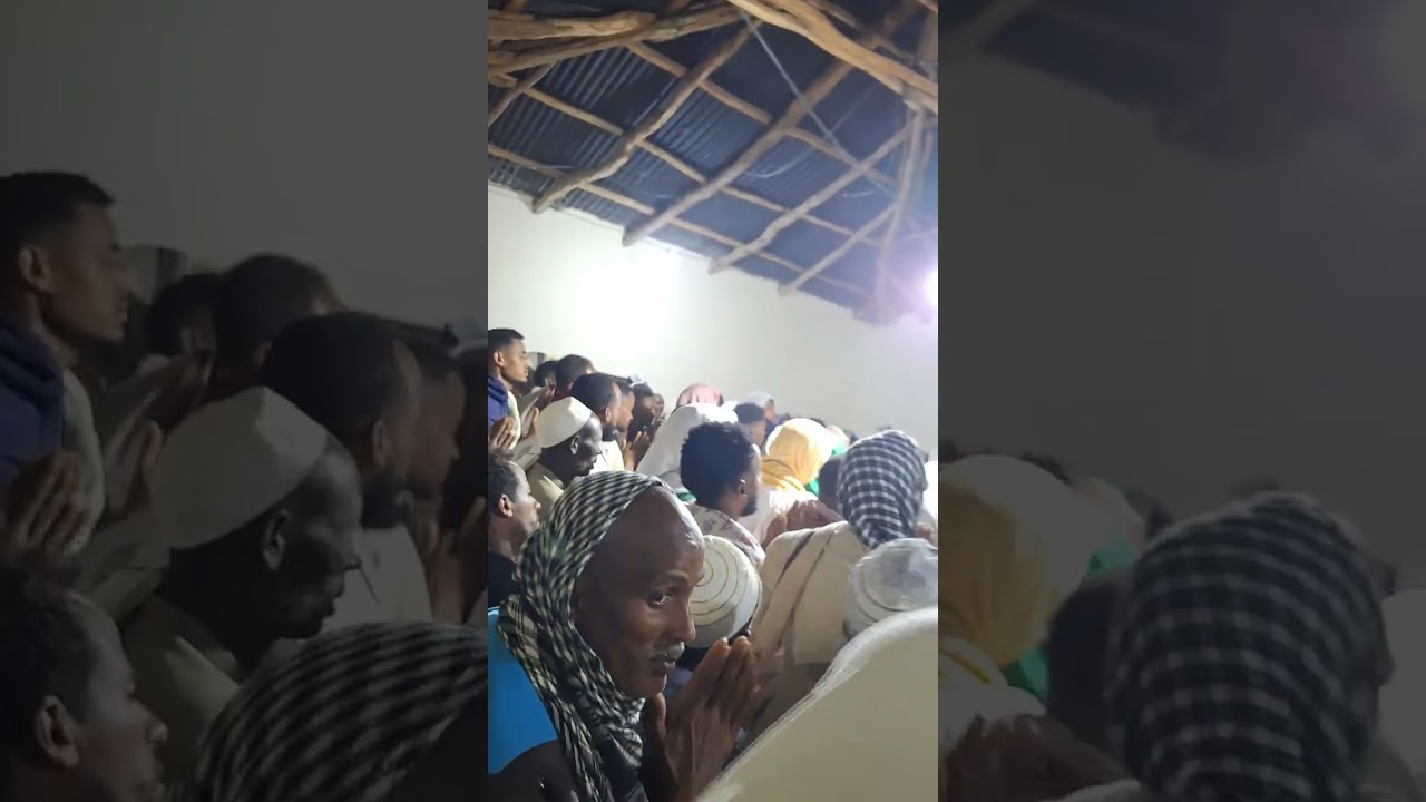 ١٧ فبراير ٢٠٢٦