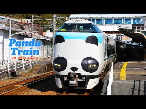 🇯🇵Lovely Panda Express! | Osaka-Wakayama [Japan travel vlog]