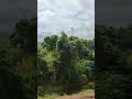 Just Captured #nature #beautiful #youtube #shorts