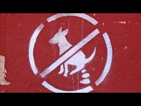 michael gargiulo trial update Insane Video Shows Man Drop Double Deuce Outside NYC Home | NBC New York