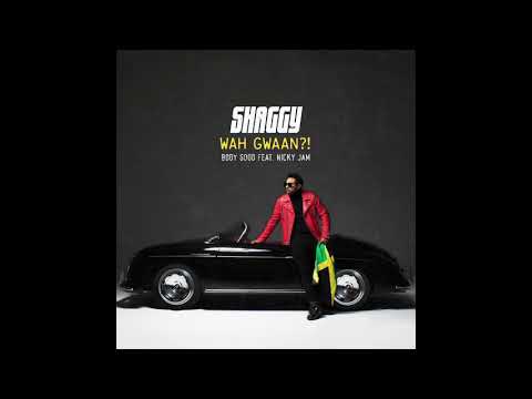 Shaggy Body Good Ft Nicky Jam Official Audio