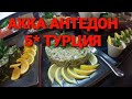 🔴 АККА АНТЕДОН 5* 🔴 ШИКАРНЫЕ ОБЕДЫ! Турция.