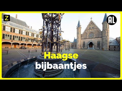 Video: Wat Te Doen Als Het Appartement Wordt Verhuurd Zonder Medeweten Van De Eigenaar?