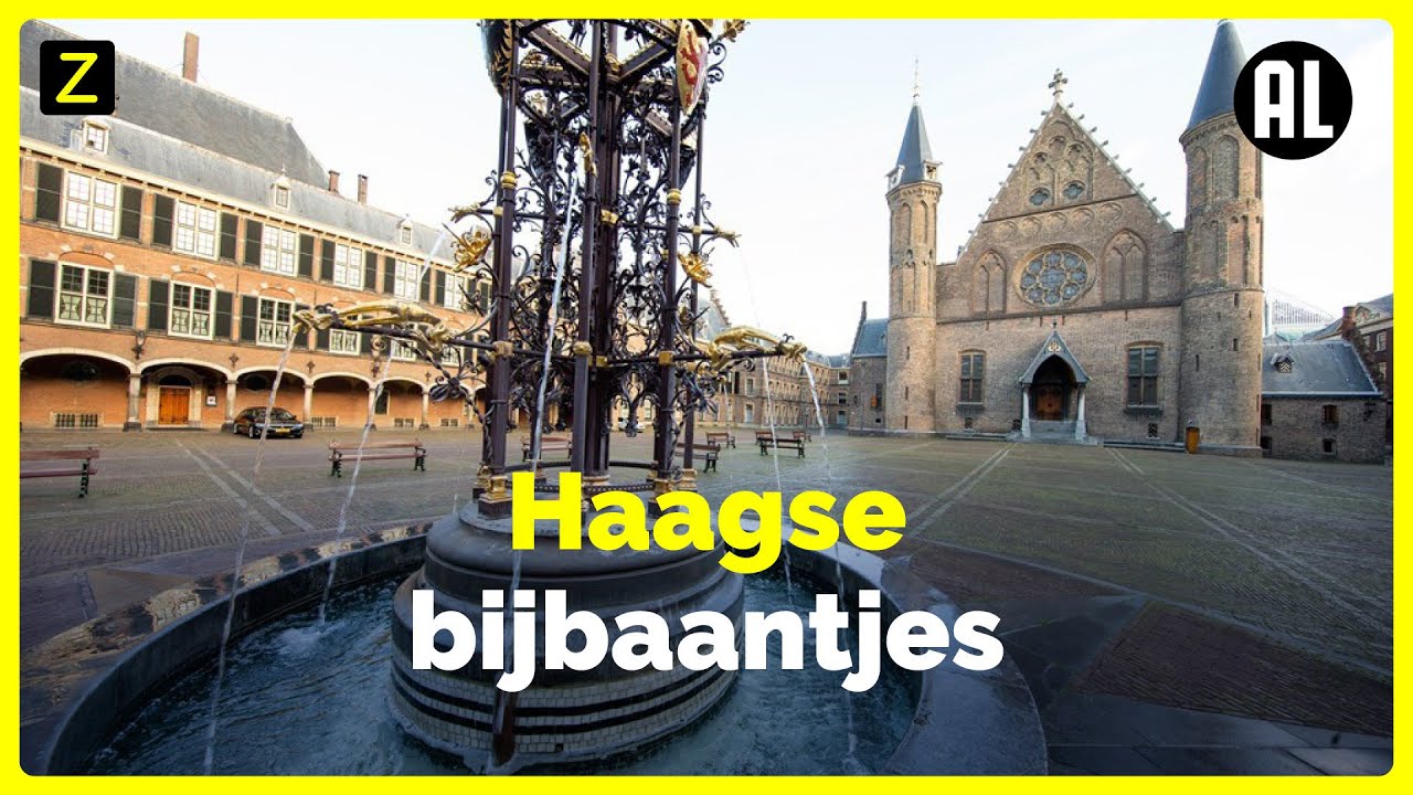 Kamerleden in de fout met bijbanen | Zembla