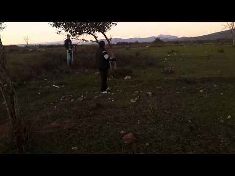 სტენდზე სროლა