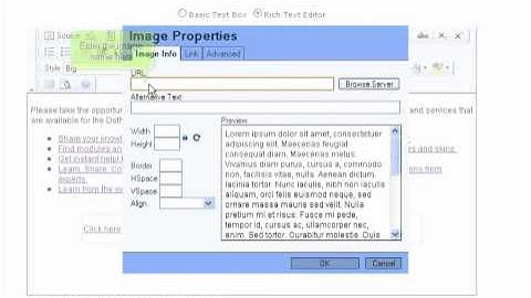Tutorial: How to work with images in DotNetNuke | LayerOnline Web Hosting