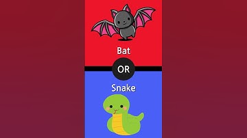 Bat or Snake #shorts #funny #funnyshorts #aorb #bat #snake #animal #animals