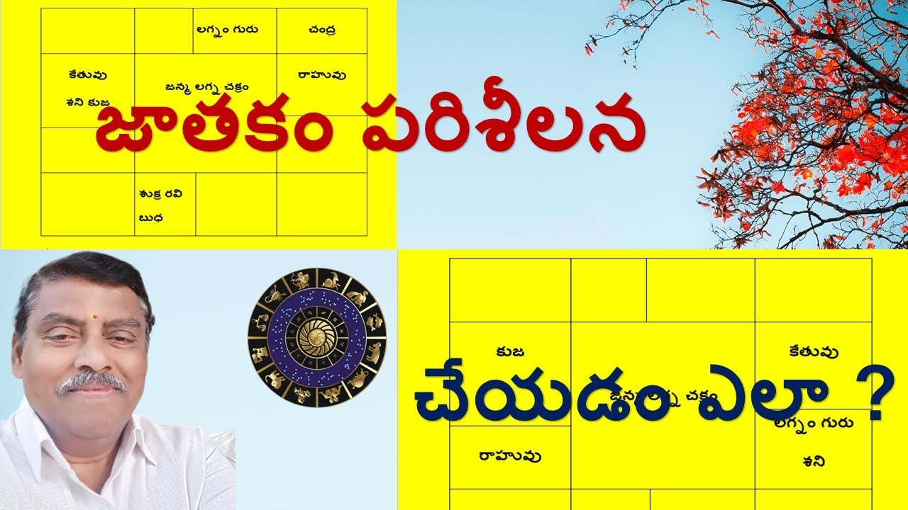 జాతకం పరిశీలన చేయడం ఎలా ?-By Narayana Pandit (7842302194)