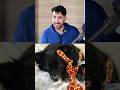 Dog Hair Everywhere? | See How this Vacuum Can Help You! | HSN