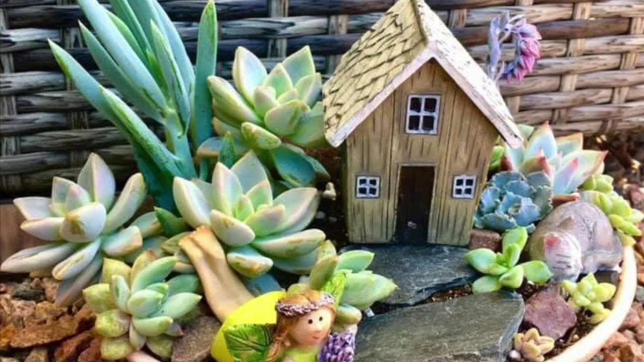 Fairy gardens YouTube