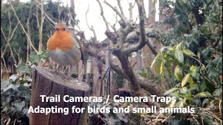 Trail Camera/ Camera Trap - Adaptations to film small birds and mammals screenshot 4