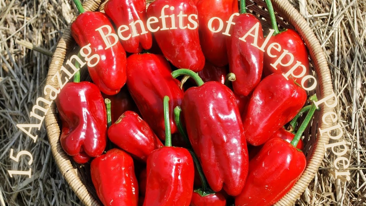 15 Amazing Benefits of Aleppo Pepper YouTube