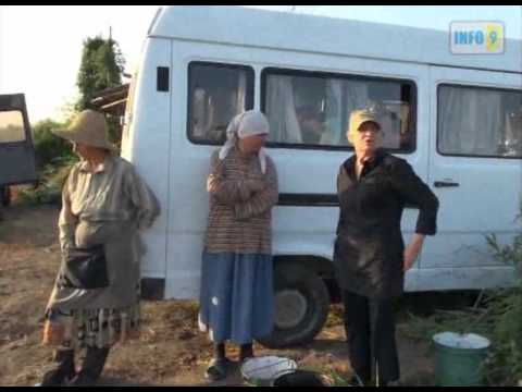 რთველი სიღნაღის რაიონში