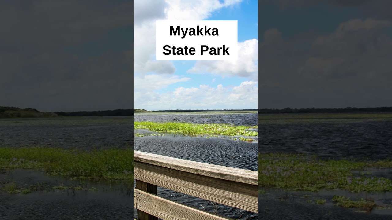 5 best hiking spots in florida