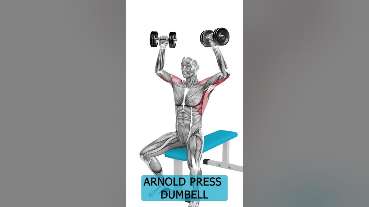 HOW TO DUMBELL ARNOLD PRESS TUTORIAL, What does Arnold dumbbell press