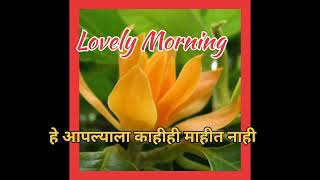 Good Morning with Golden Chafa
