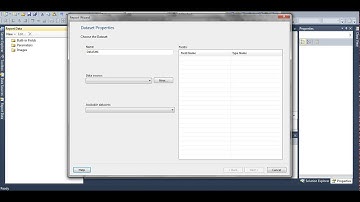 VB 2010: Sample Report Viewer with db connection error FIXED!