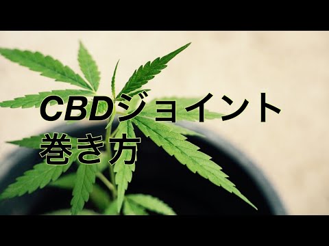 ローラーを使ったCBDジョイントの巻き方　簡単1分