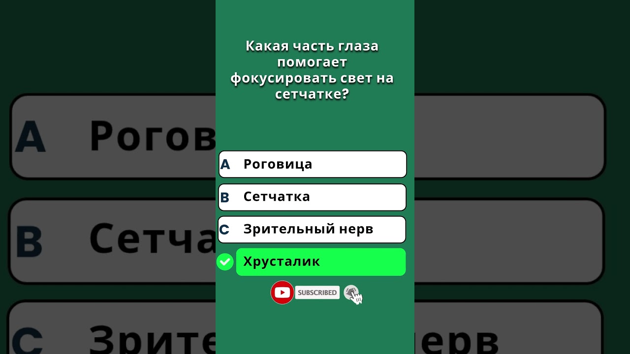 Тест на эрудицию и общие знания | ГК | ОБЩИЕ ЗНАНИЯ | IQ-ТЕСТ 