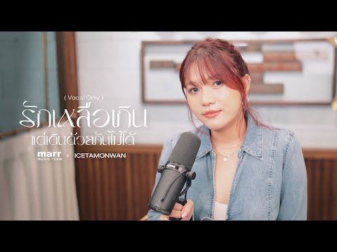 รักเหลือเกิน แต่เดินด้วยกันไม่ได้ 「 Vocals Only 」- ICETAMONWAN x marr team |  "เพลง marr"