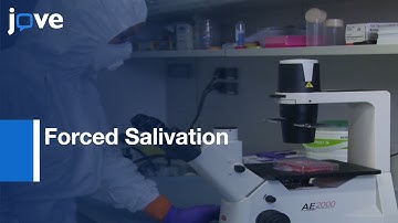 Forced Salivation As Method: Analyze Vector Competence Of Mosquitoes l Protocol Preview