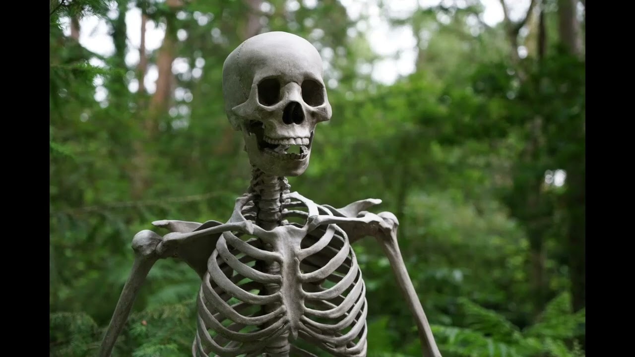 Skeleton Rattling Sound Effect Speed x2