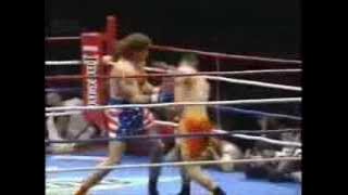 Andy Hug Highlight K1/Kyokushin