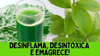 SUCO DE COUVE COM ORA-PRO-NÓBIS. TOME E FIQUE SURPRESA COM O RESULTADO! | Dr Dayan Siebra