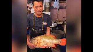 Hong Kong seafood of fisherman 西環魚王 生劏(了約)魚