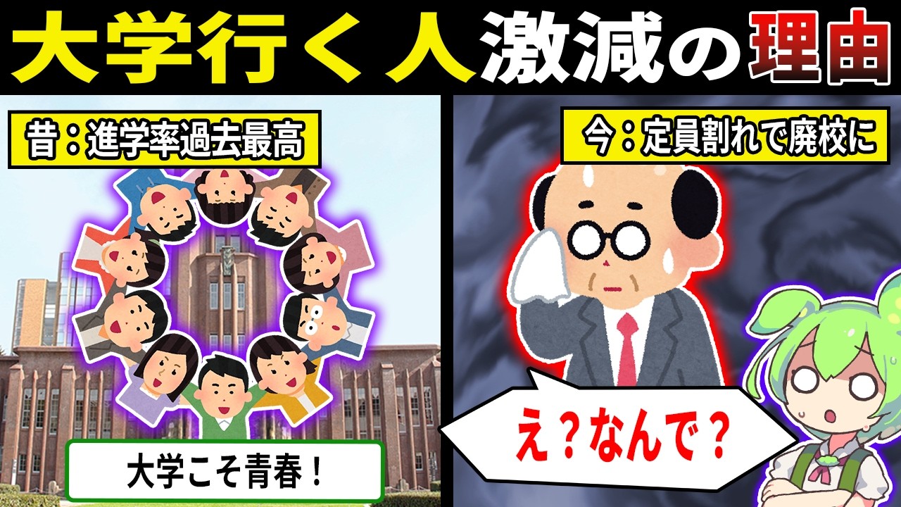 大学入学者が激減してるヤバすぎる理由【ずんだもん＆ゆっくり解説】