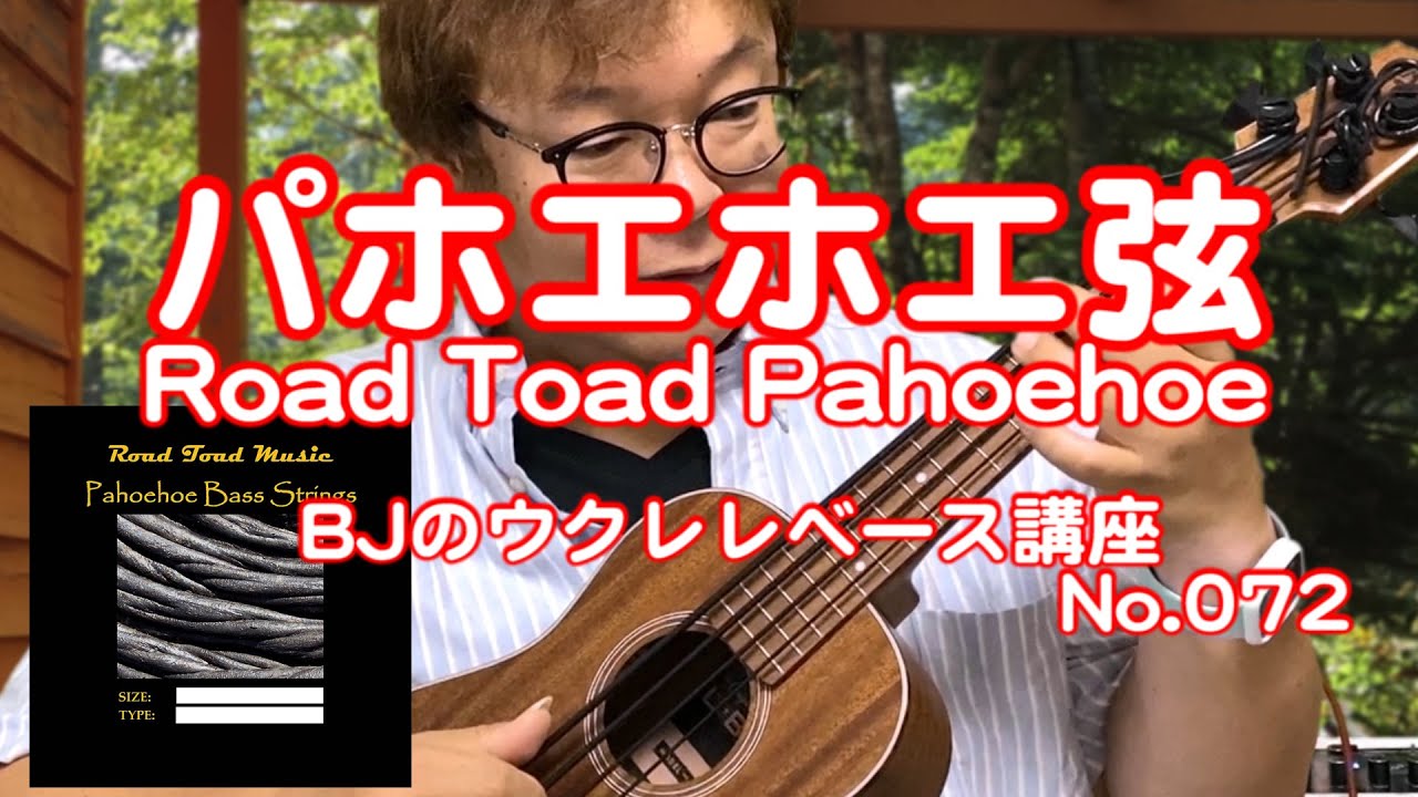 KALA カラ ウクレレベース U-BASS上位機種備え付弦 RT-BASS-4 