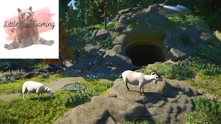 Planet Zoo Dall Sheep Gameplay