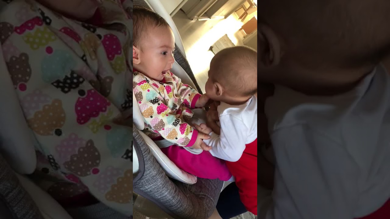 Bebek videolari YouTube