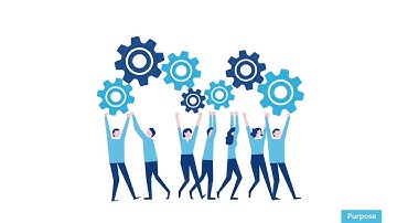 Transmed  Purpose Full HD