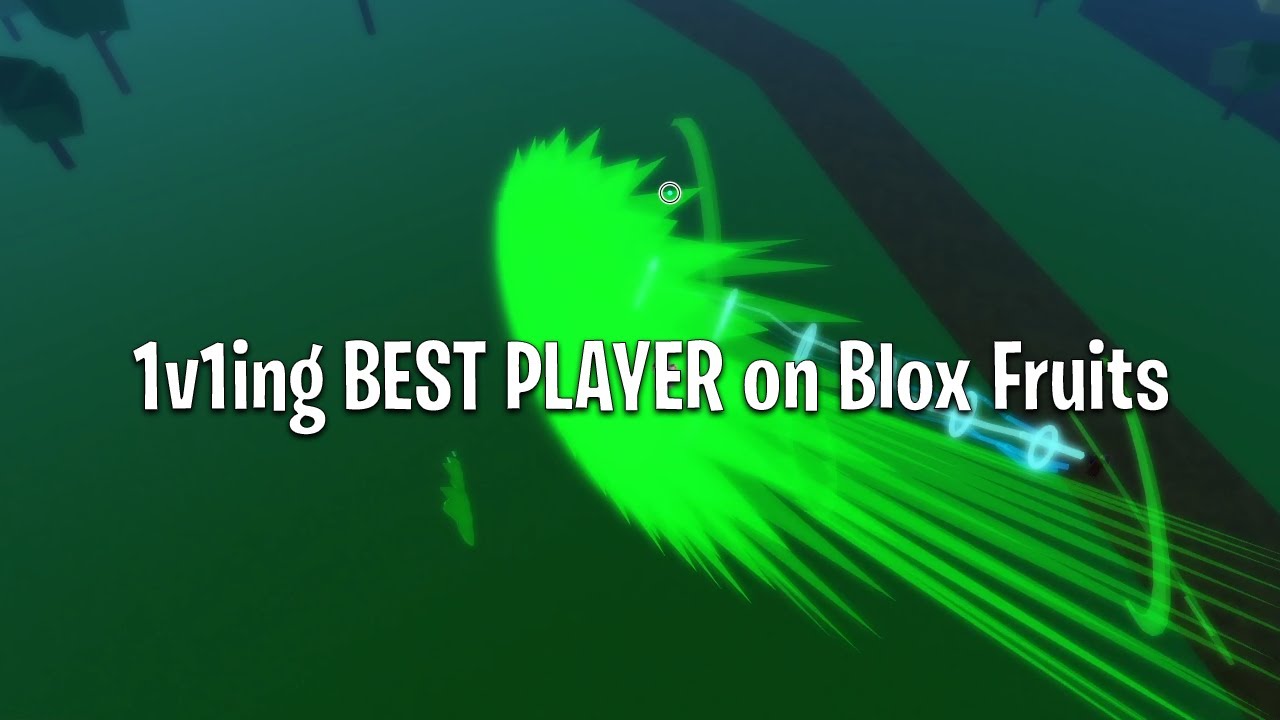 What's the best fighting style in blox fruits