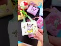 Cute Sanlio handbag#sanrio #melody #hellokitty #kuromi