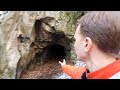 Летучие мыши в пещере вечной мерзлоты