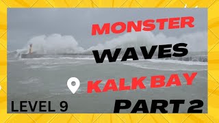 Wild Experience 🤪| Kalkbay | Cape Town | South Africa 🇿🇦 Part 2. Watch to end, crazy stuff.