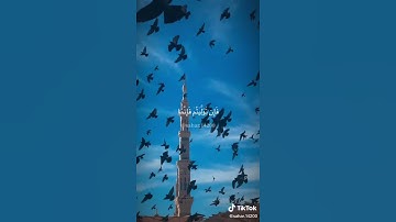 ((ماأصاب من مصيبة إلا بإذن الله)) تلاوة من أجمل التلاوات الشيخ رعد الكردي