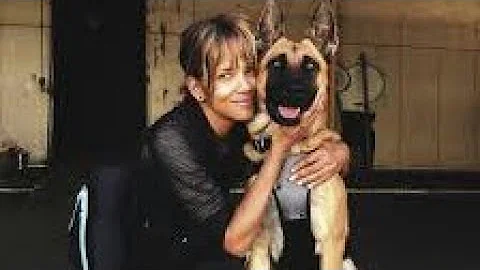 Did Halle Berry keep the dogs?